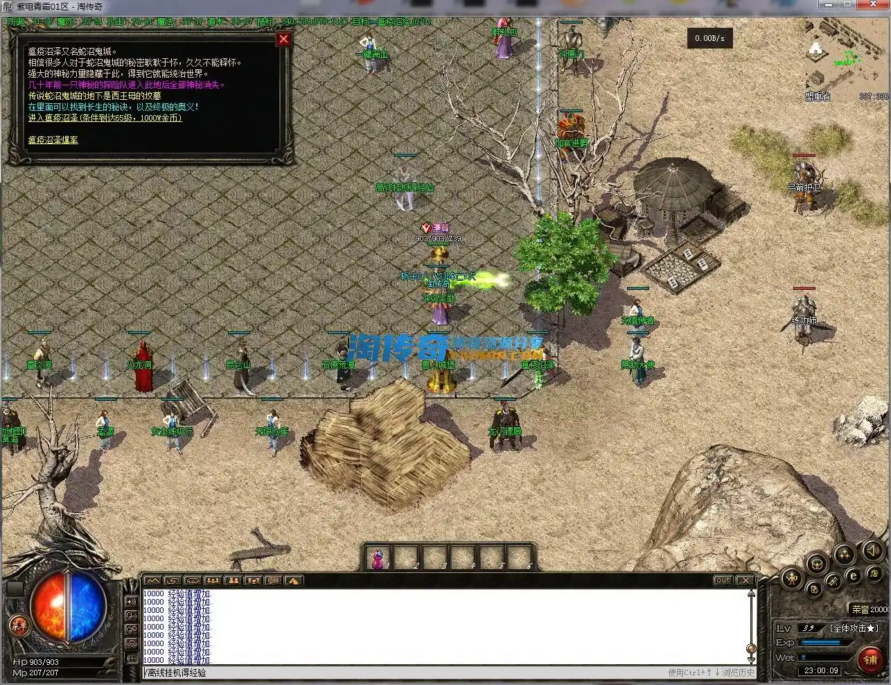image.webp