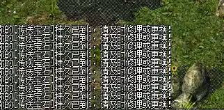 QQ截图20230313205704.webp