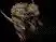 003464.webp