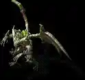 006240.webp