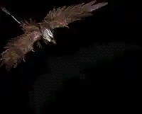 004865.webp