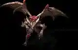 005544.webp