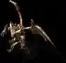 008648.webp
