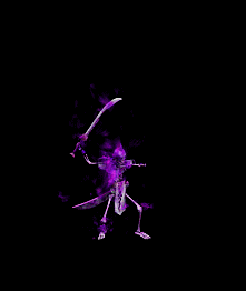 骷髅10.gif
