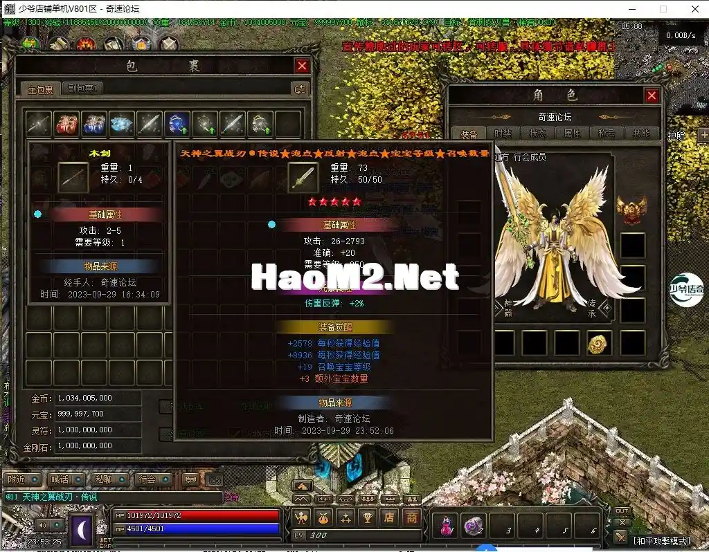 17.webp