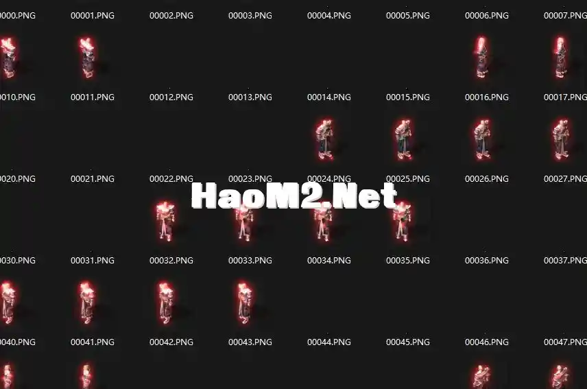 5.webp