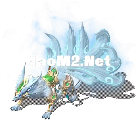 00055.webp