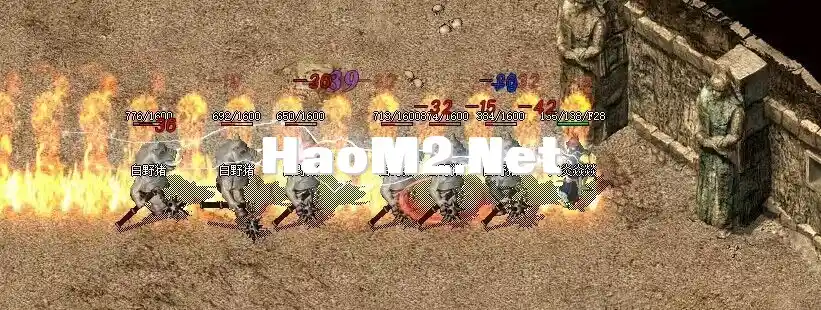 QQ图片20231223122929.webp