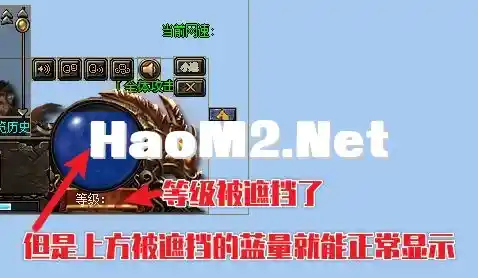 image.webp