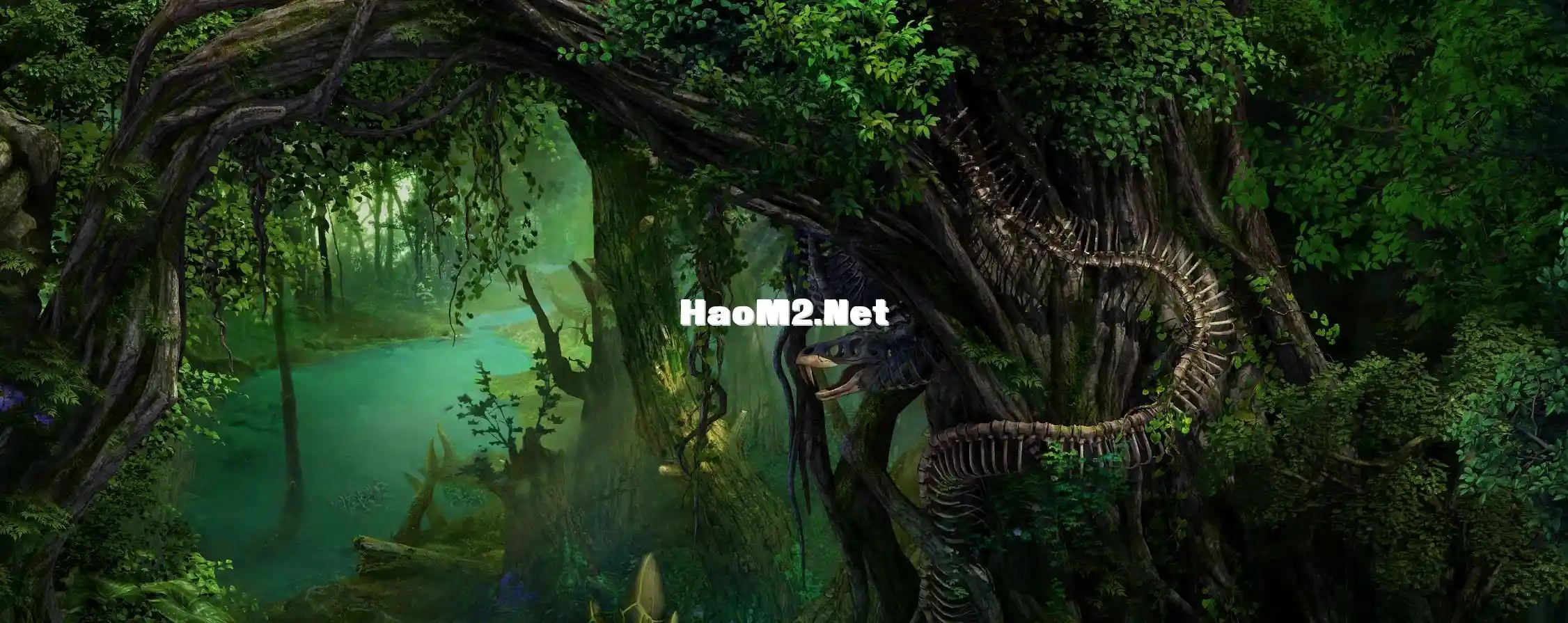 7.webp
