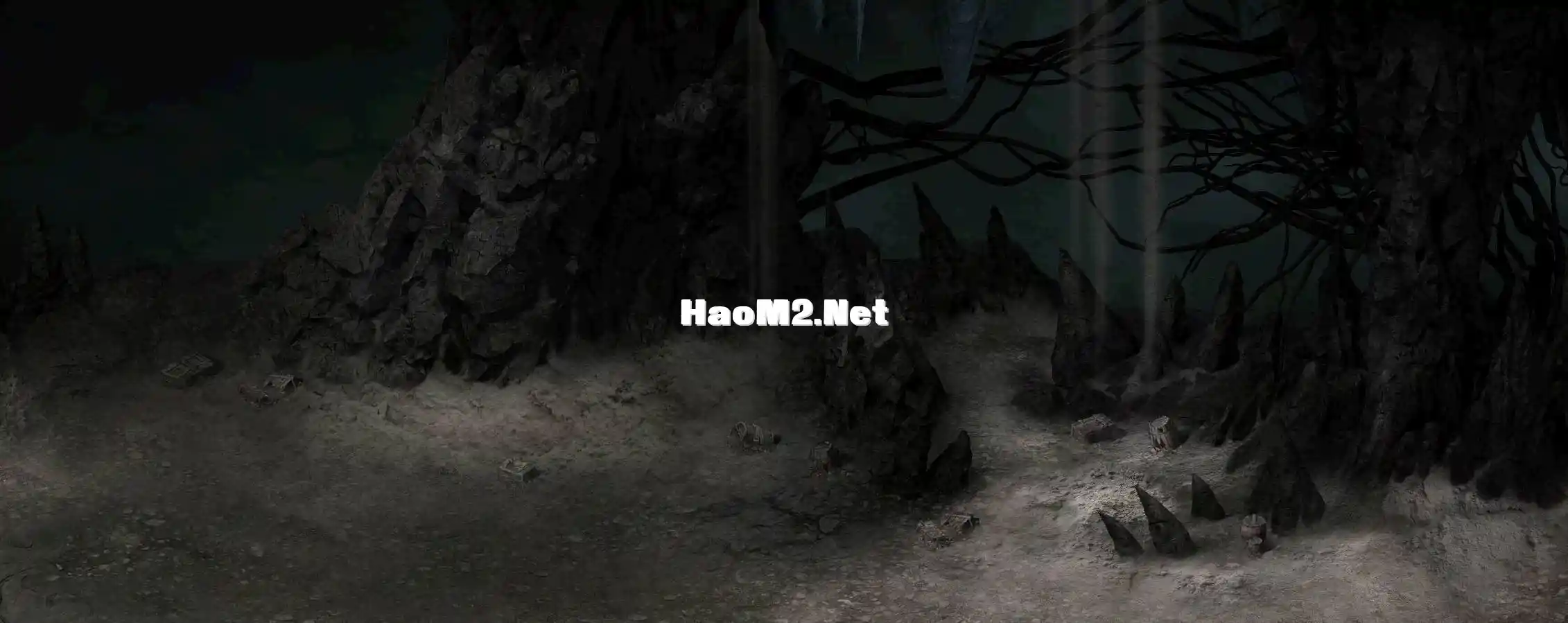7.webp