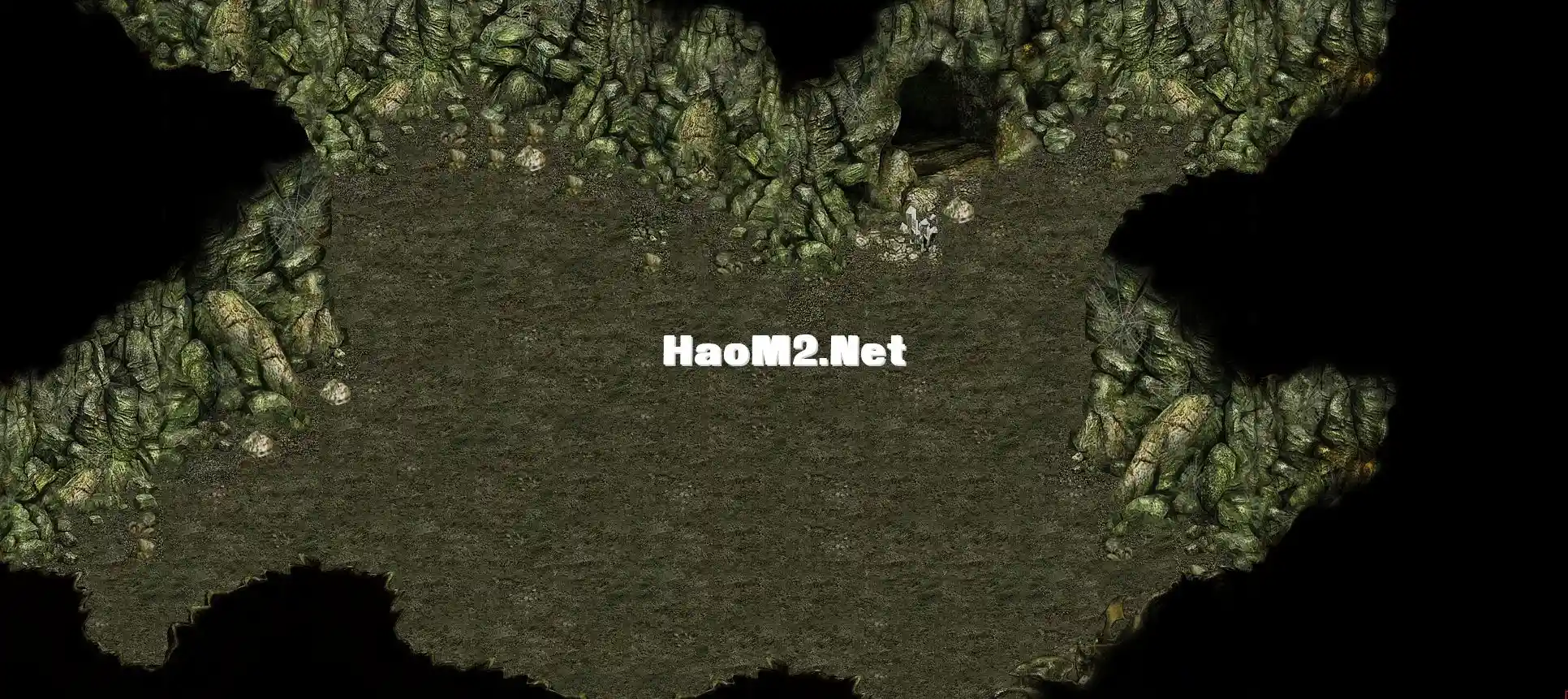 3.webp