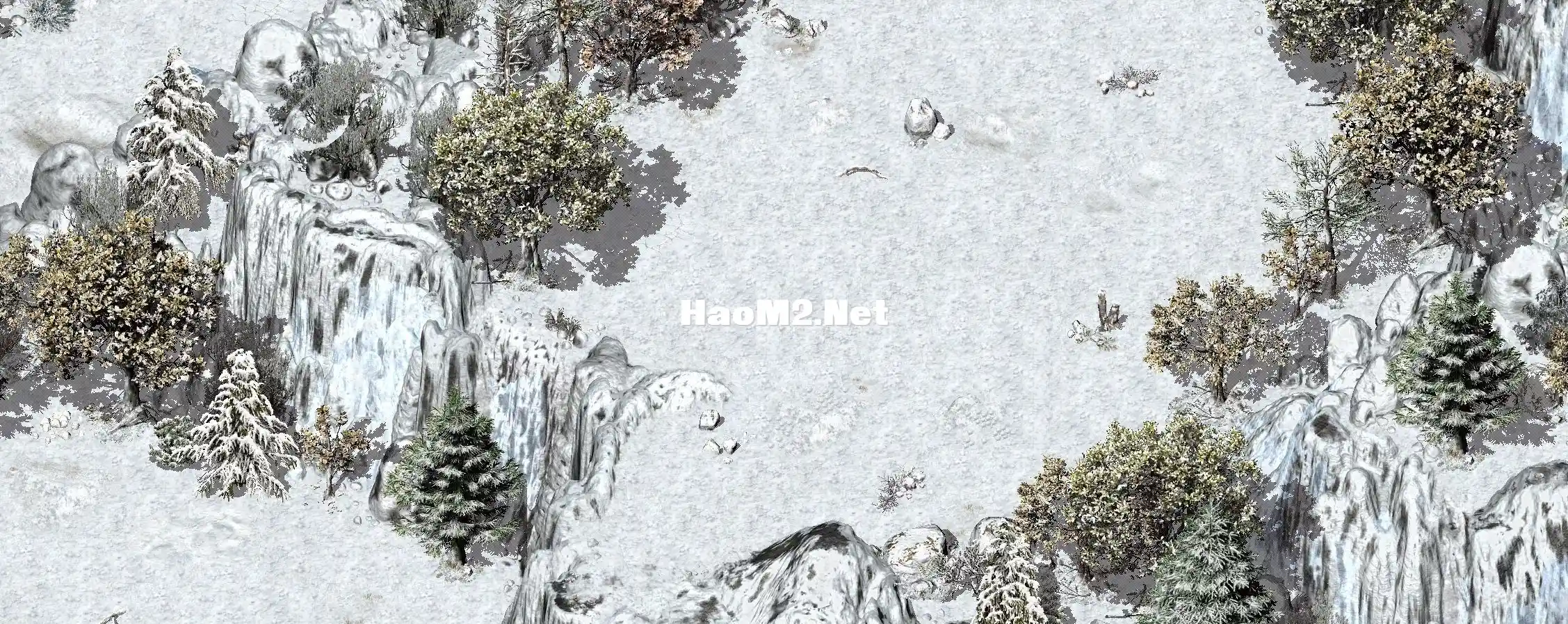 7.webp