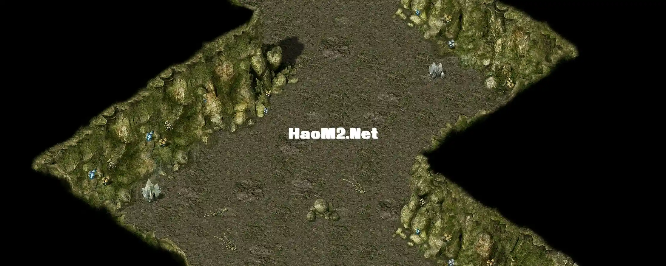 1.webp
