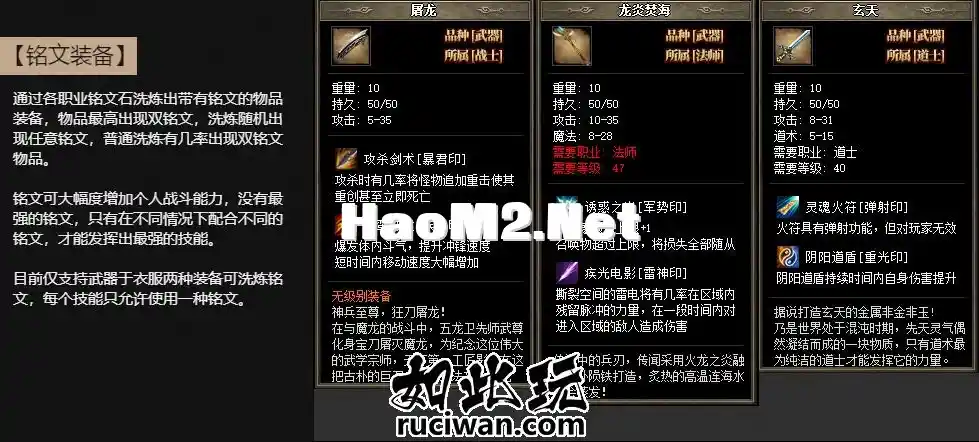 5.webp