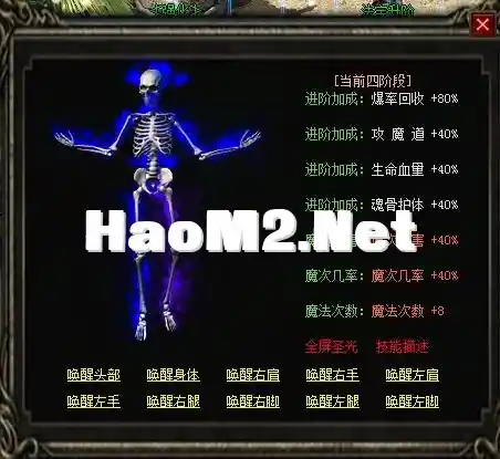 01 (2).webp