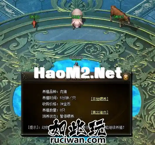 8.webp