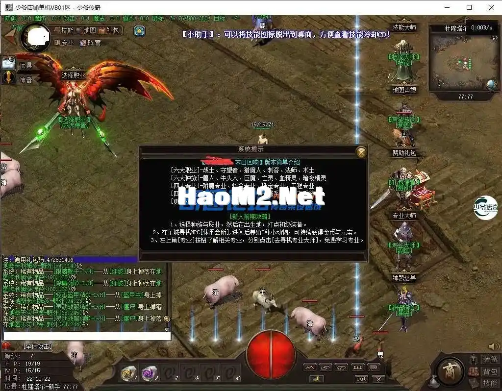 233114wq4c9xgstg1qd9dd.webp