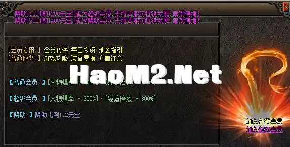 4.webp