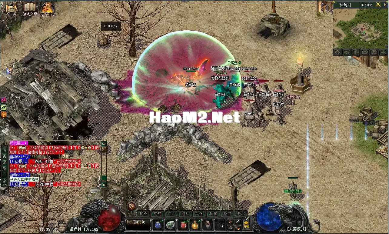4.webp