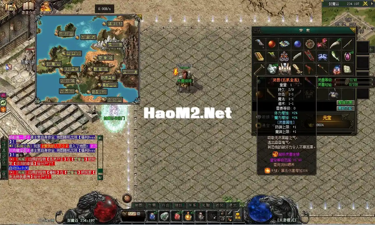7.webp