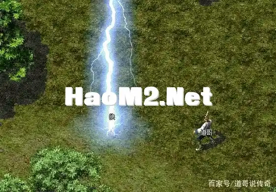 123