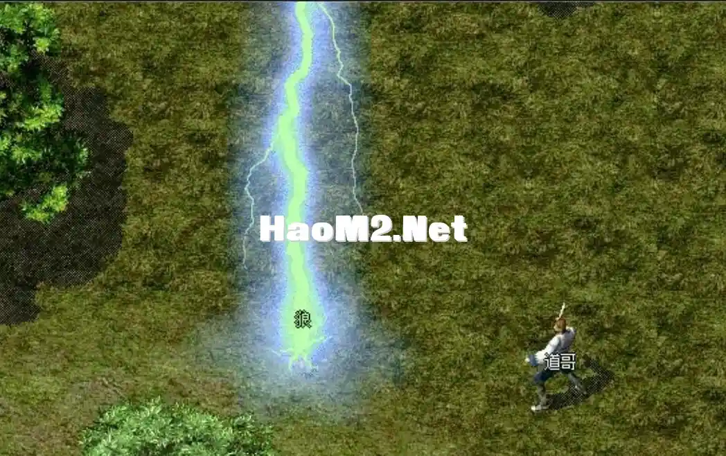 123