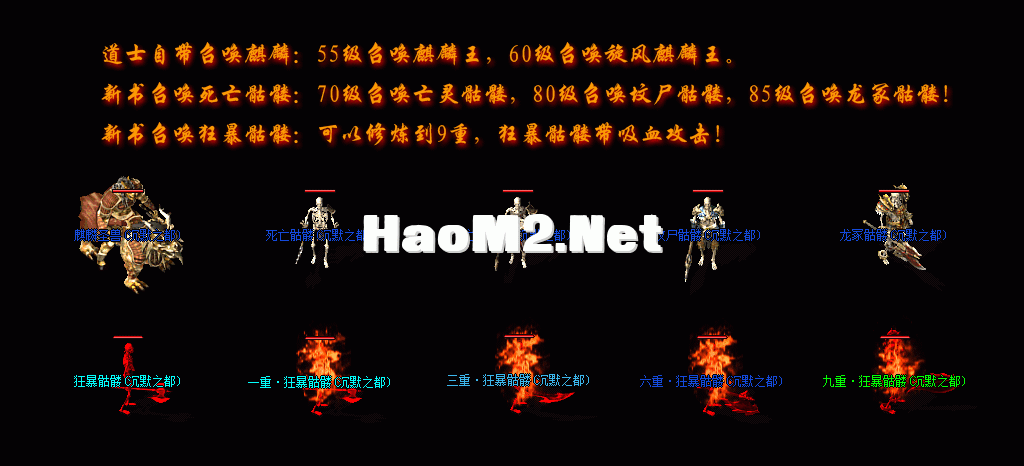 zs06.gif