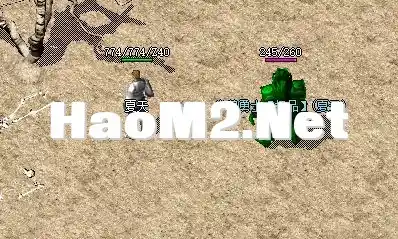 4F~(O1~RQ5MX`C7K2`UE]8Y.webp
