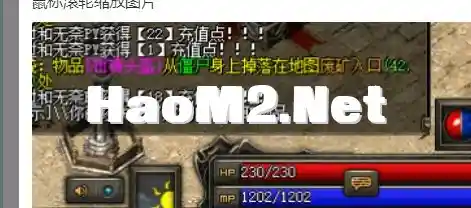 QQ截图20240523182043.webp