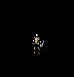 001.gif
