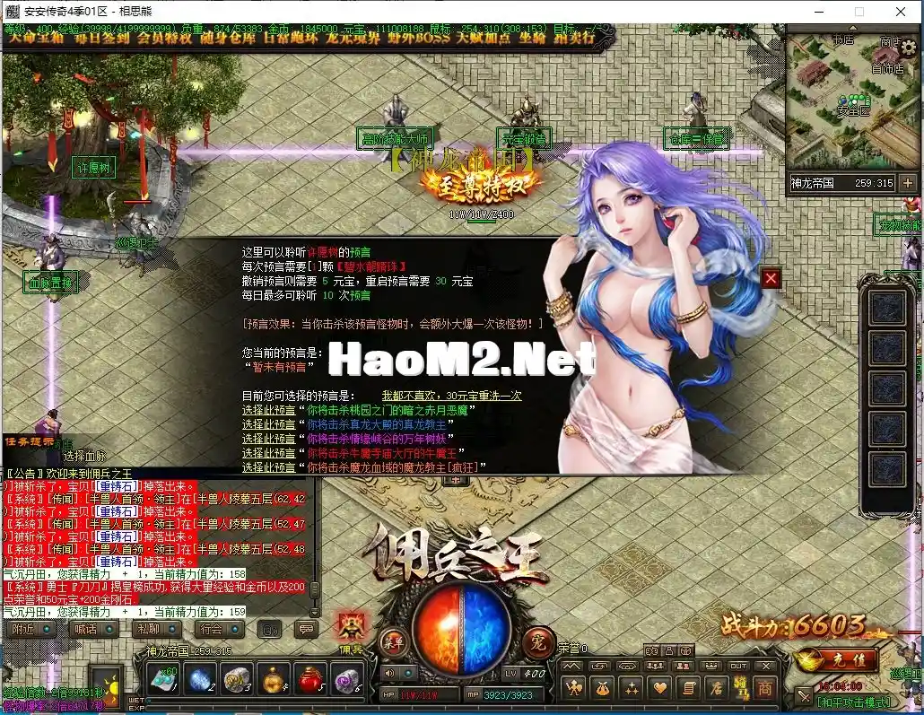 17.webp