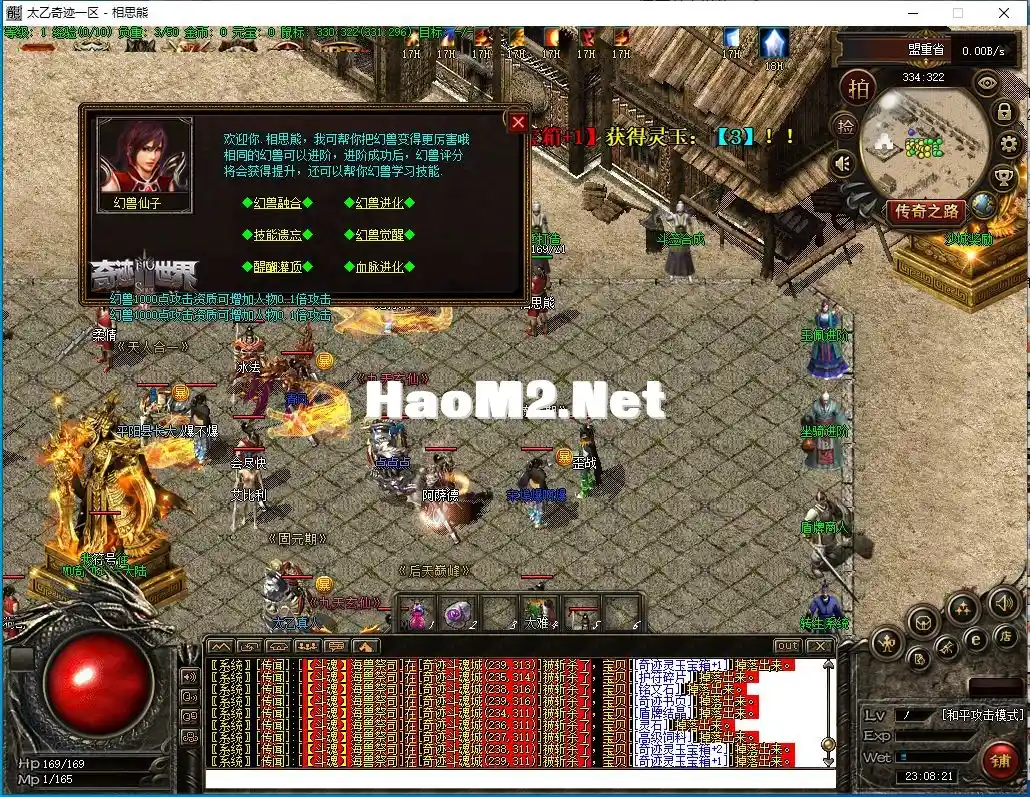 12.webp