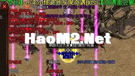 19.webp