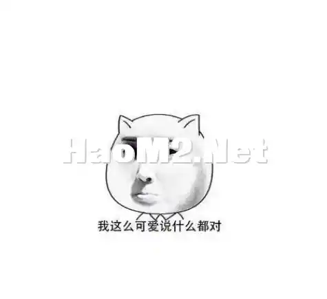 微信截图_20240626033205.webp