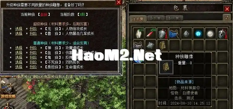 3.webp
