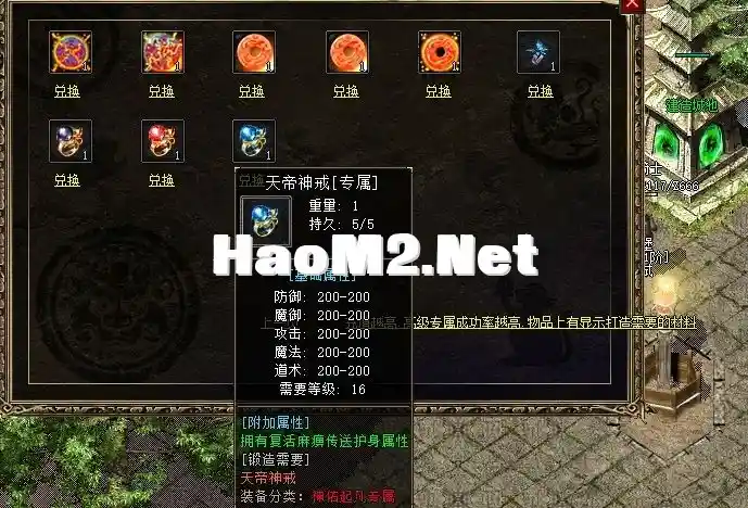 6.webp