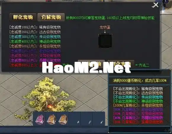4.webp