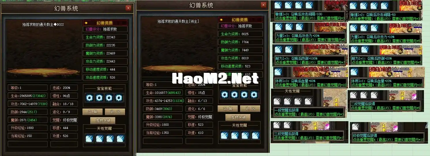 20.webp