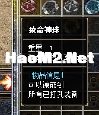 截屏2024-08-23 15.53.37.webp