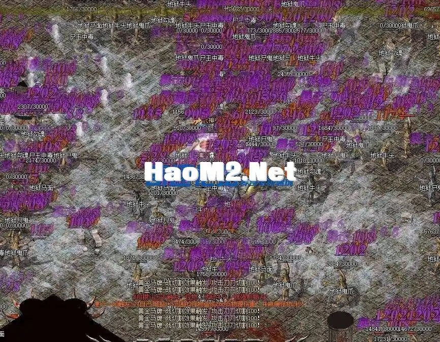 004338jgbk6y4y63szgrw4.webp