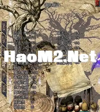 4.webp