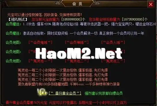 5.webp