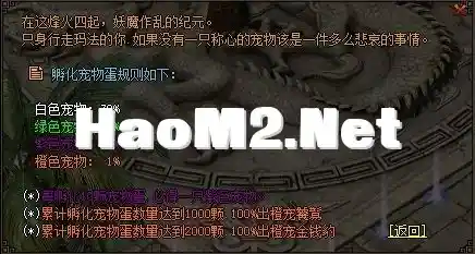 4.webp