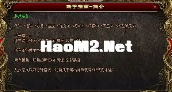 11.webp