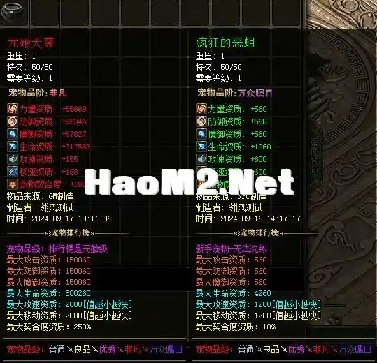 6.webp