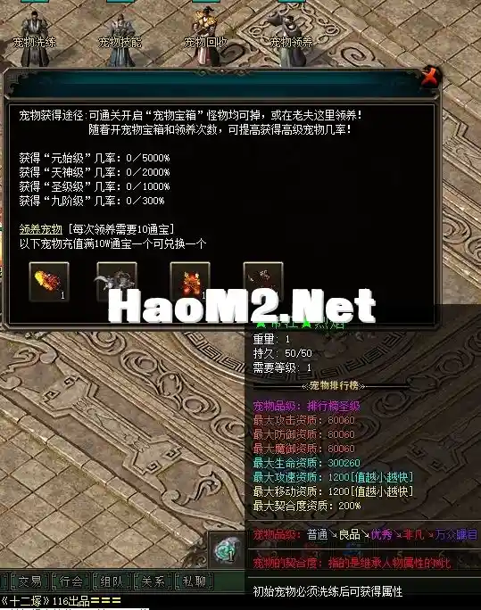 5.webp
