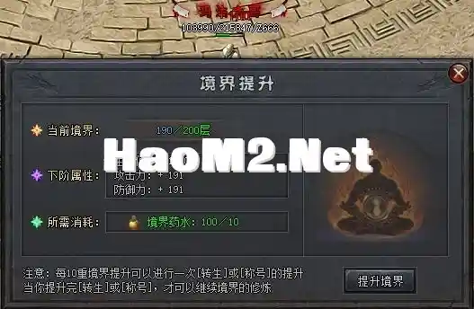 11.webp