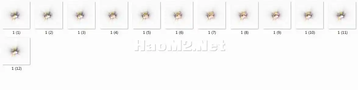 微信截图_20241005175556.webp
