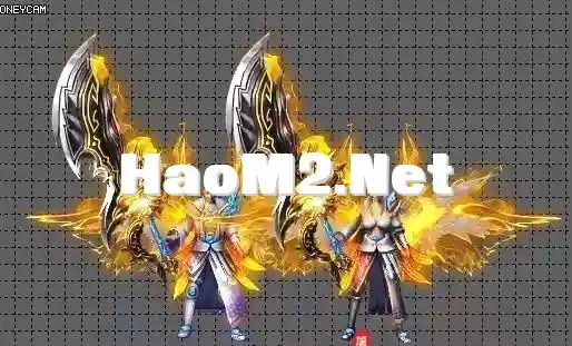 微信图片_20241005173910.webp